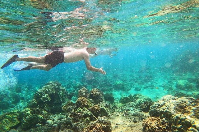 Beach Snorkel - Sea Turtle and Black Sand Lagoon - Photo 1 of 11